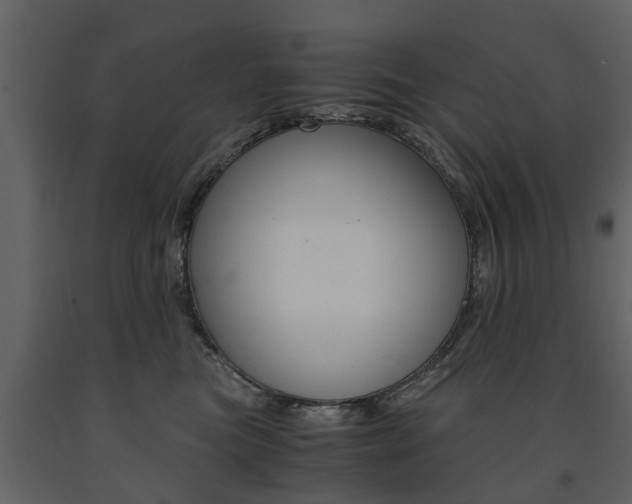 X0000091680473200708231112