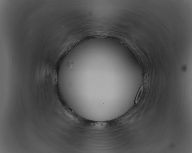 X0000091680474200708231112