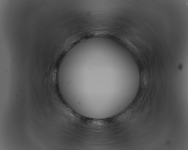 X0000091680475200708231112