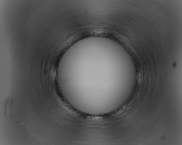 X0000091680476200708231112