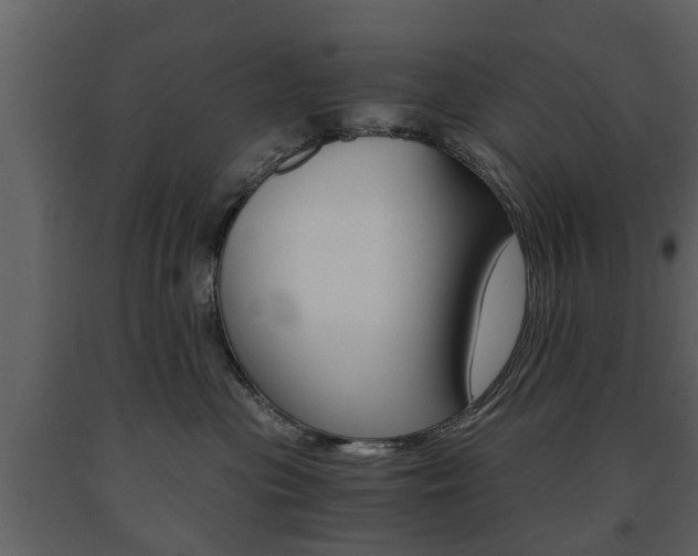 X0000091680477200708231112