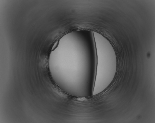 X0000091680478200708231112