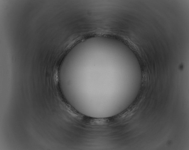 X0000091680479200708231112