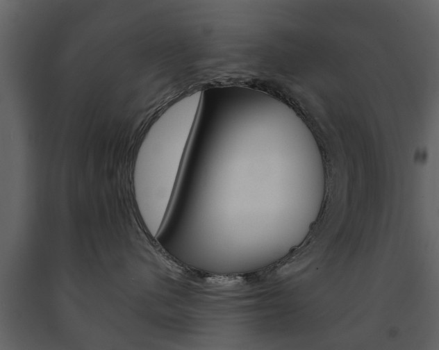 X0000091680480200708231112