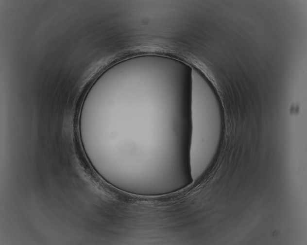 X0000091680482200708231111