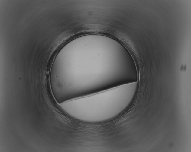 X0000091680483200708231111
