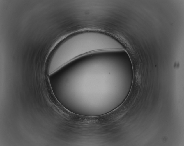 X0000091680484200708231111