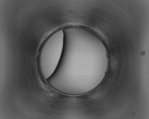 X0000091680486200708231111