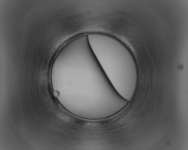 X0000091680487200708231111