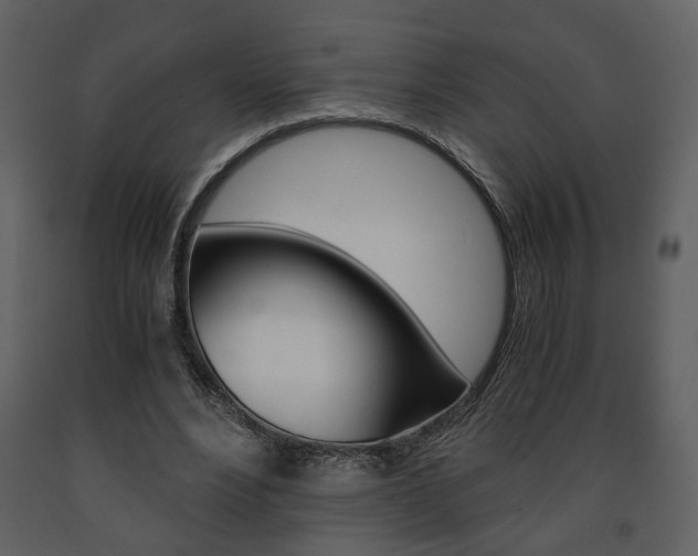 X0000091680488200708231111