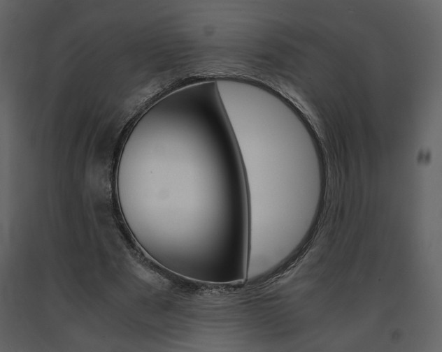 X0000091680489200708231111