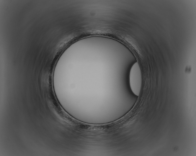X0000091680491200708231111