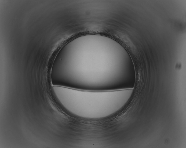 X0000091680492200708231111