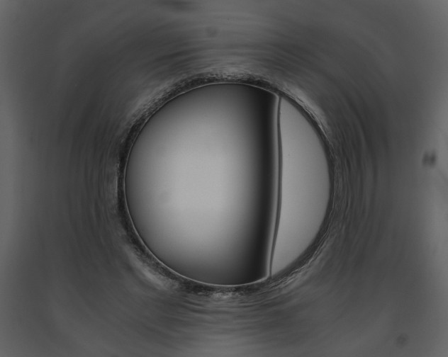 X0000091680493200708231111