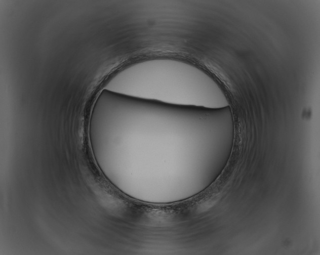 X0000091680494200708231111
