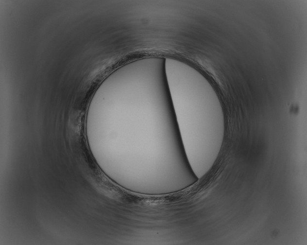 X0000091680495200708231111