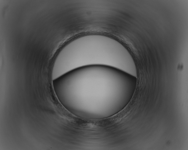 X0000091680496200708231111