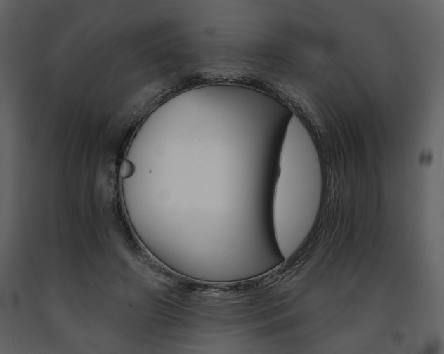 X0000091680498200708231111