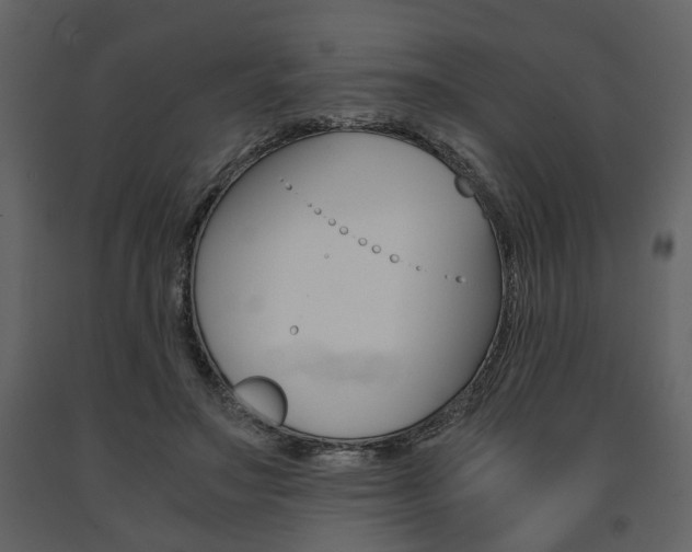 X0000091680499200708231111