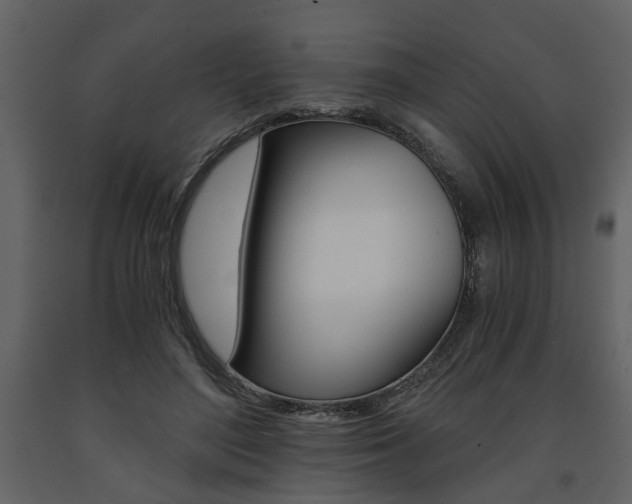 X0000091680500200708231111