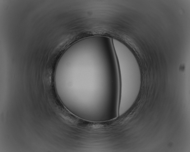 X0000091680501200708231111