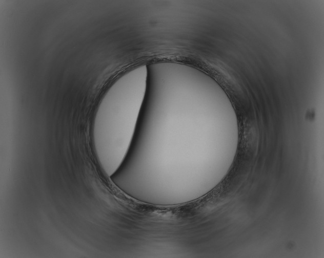 X0000091680502200708231111