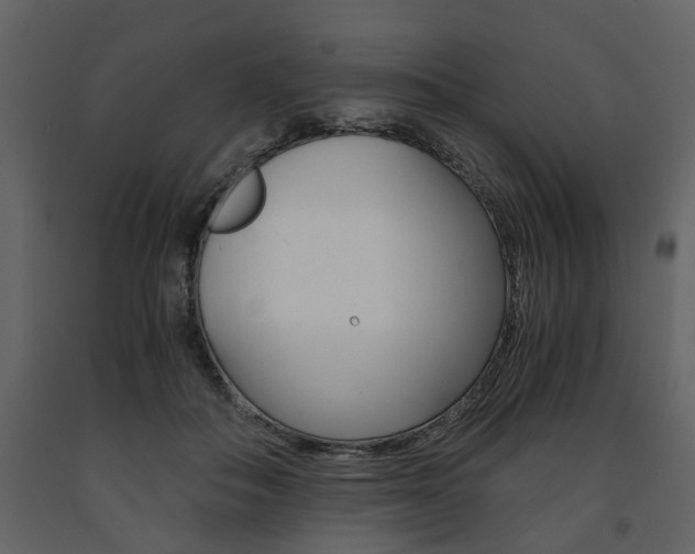 X0000091680506200708231111