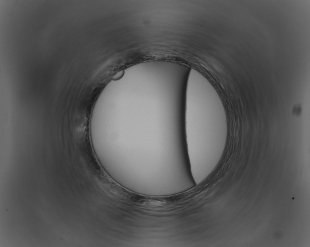 X0000091680507200708231111