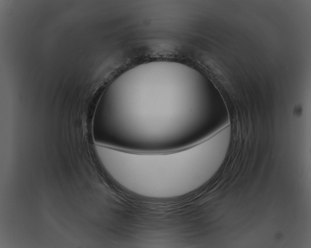 X0000091680508200708231111