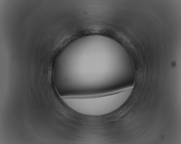 X0000091680509200708231111