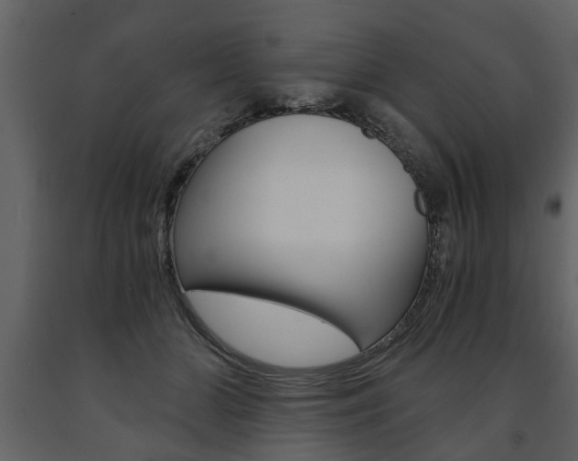 X0000091680510200708231111