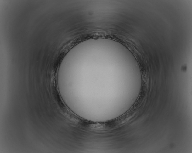 X0000091680511200708231111