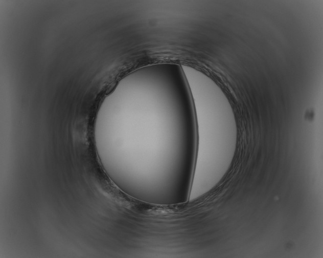 X0000091680512200708231111
