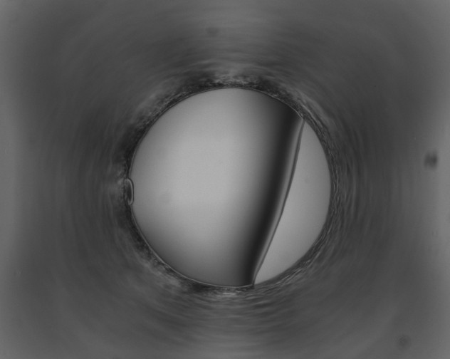 X0000091680513200708231111