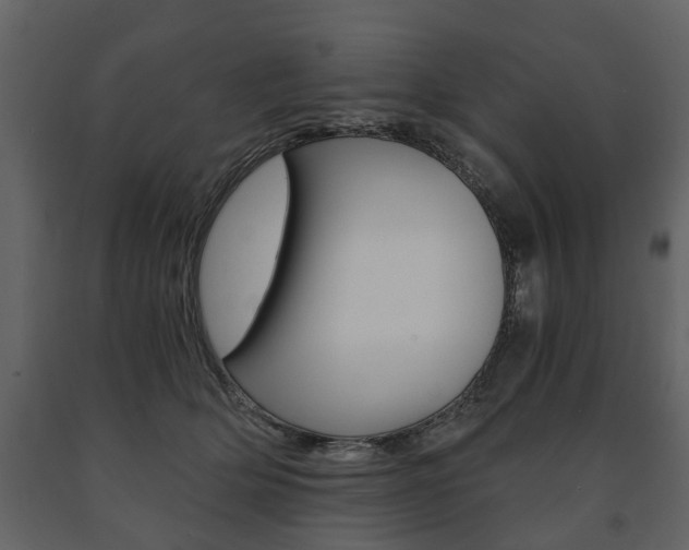 X0000091680514200708231111