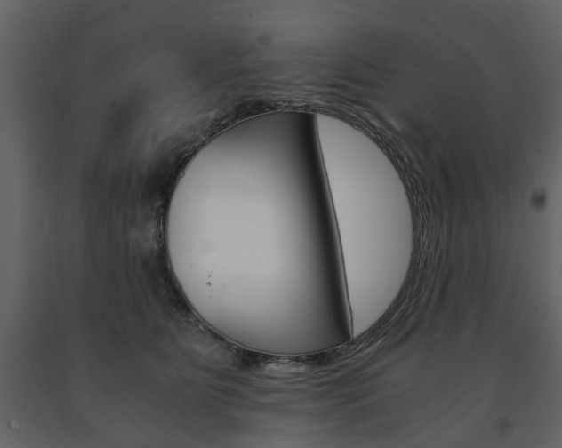 X0000091680515200708231111