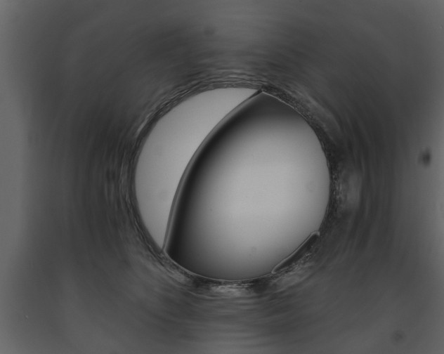 X0000091680516200708231111