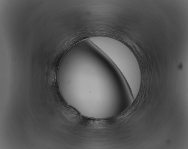 X0000091680517200708231111