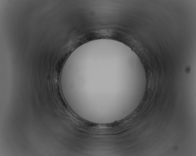 X0000091680518200708231111