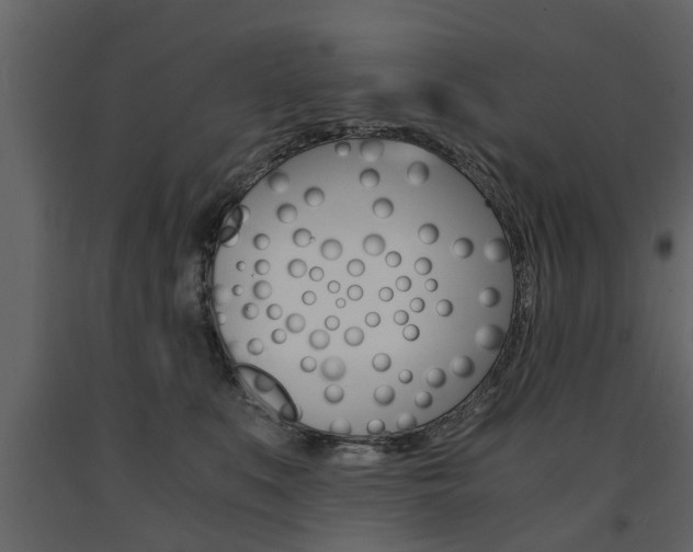 X0000091680519200708231111