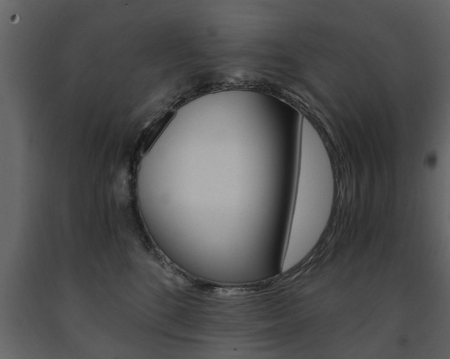 X0000091680520200708231111