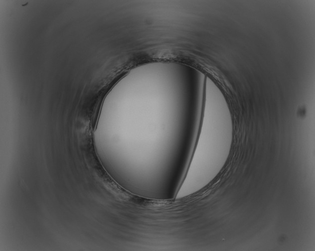 X0000091680521200708231111