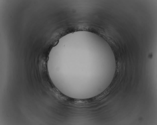 X0000091680522200708231111
