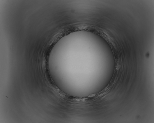 X0000091680524200708231111