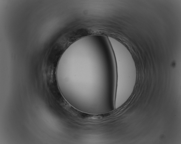 X0000091680525200708231111