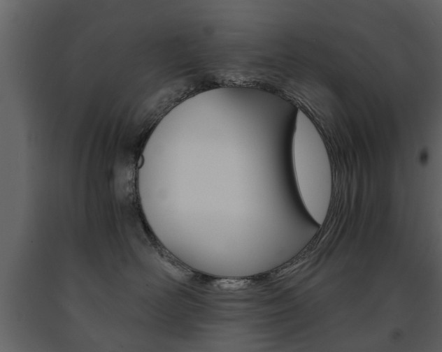 X0000091680526200708231111