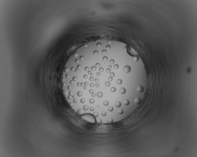 X0000091680527200708231111