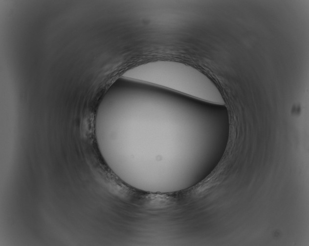 X0000091680528200708231111