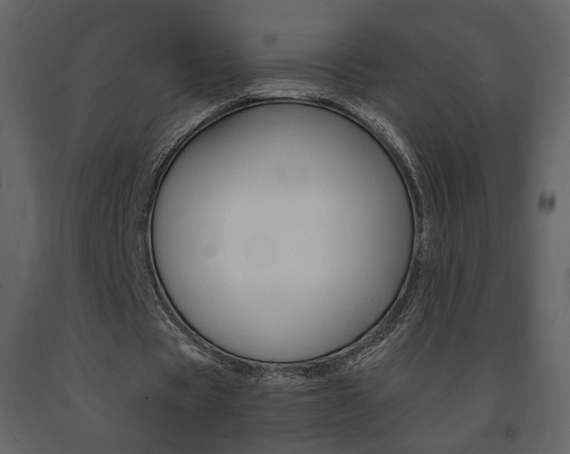 X0000091680529200708231110