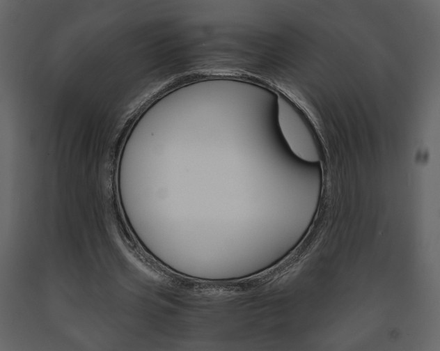 X0000091680533200708231110